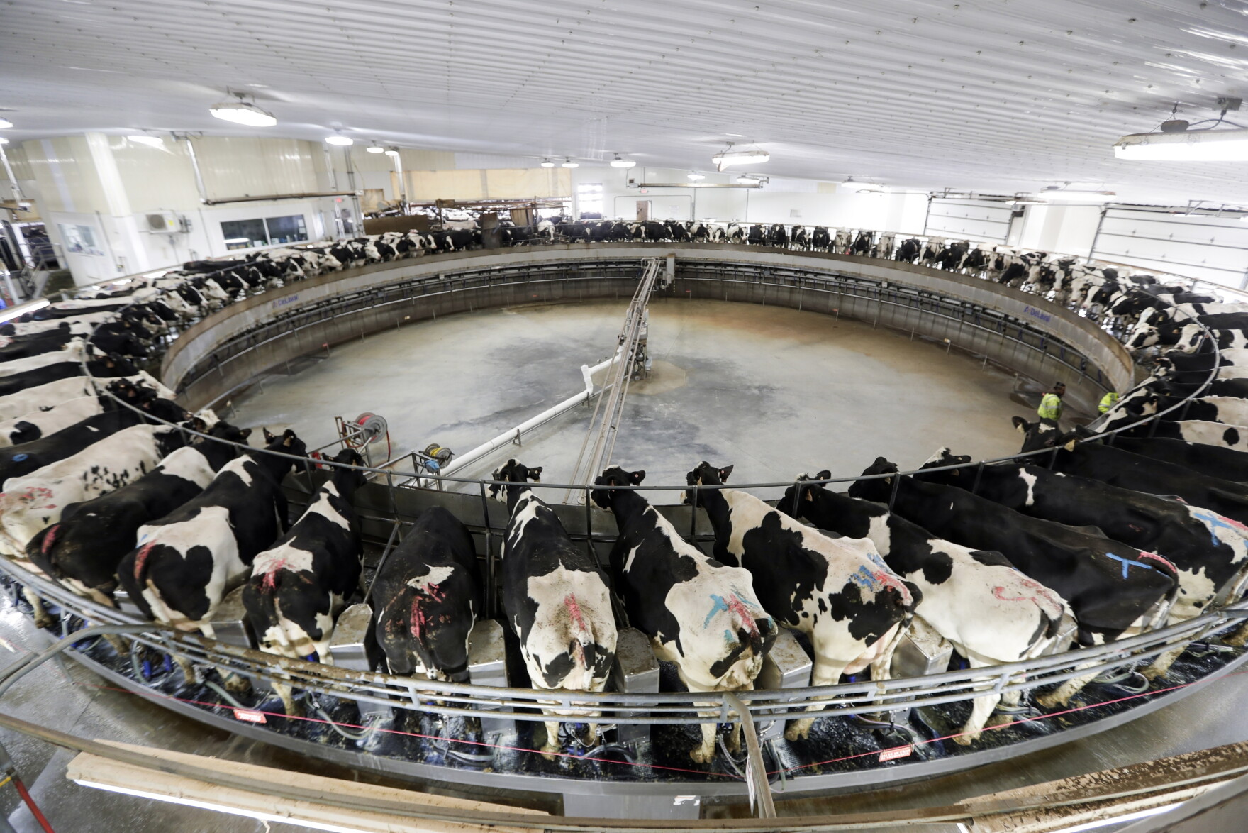 Advocacy group plans to fight mega farms in New Mexico