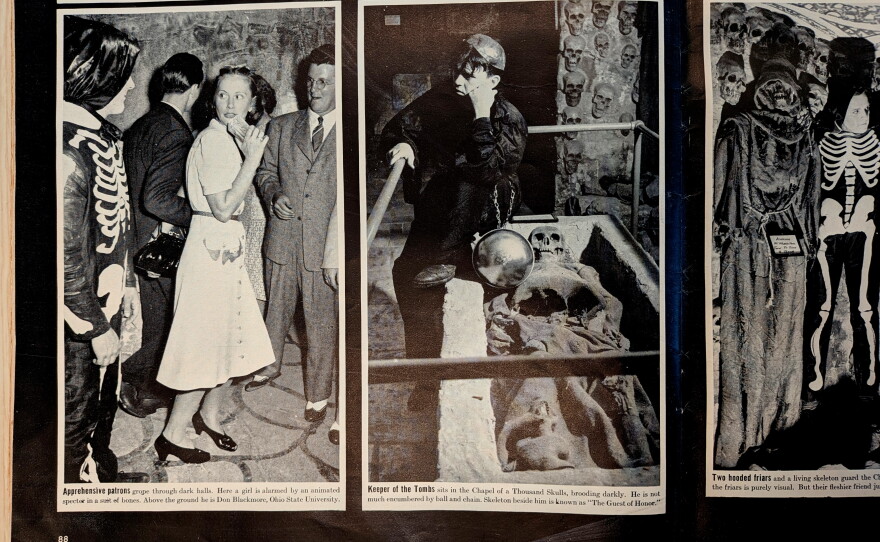 photos show the crypts and skeletons inside the club