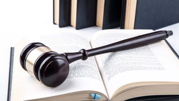 A gavel sits on an open law book