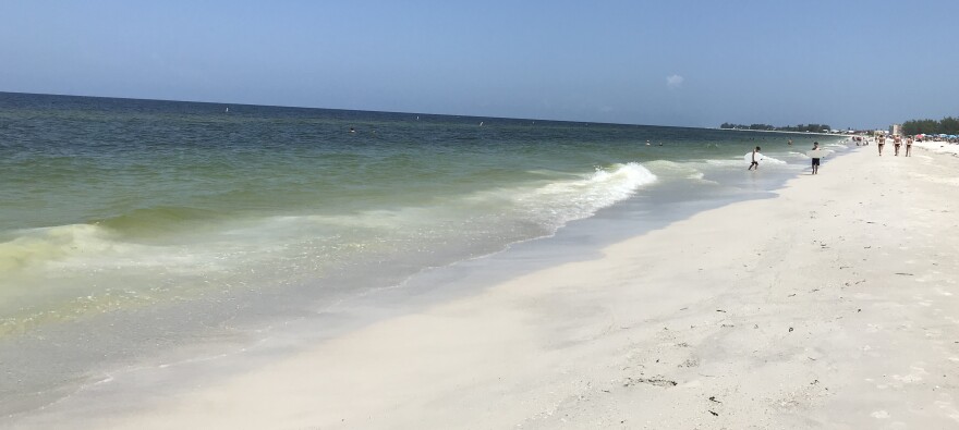 red tide florida beaches