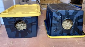 Plastic bin cat shelters.
