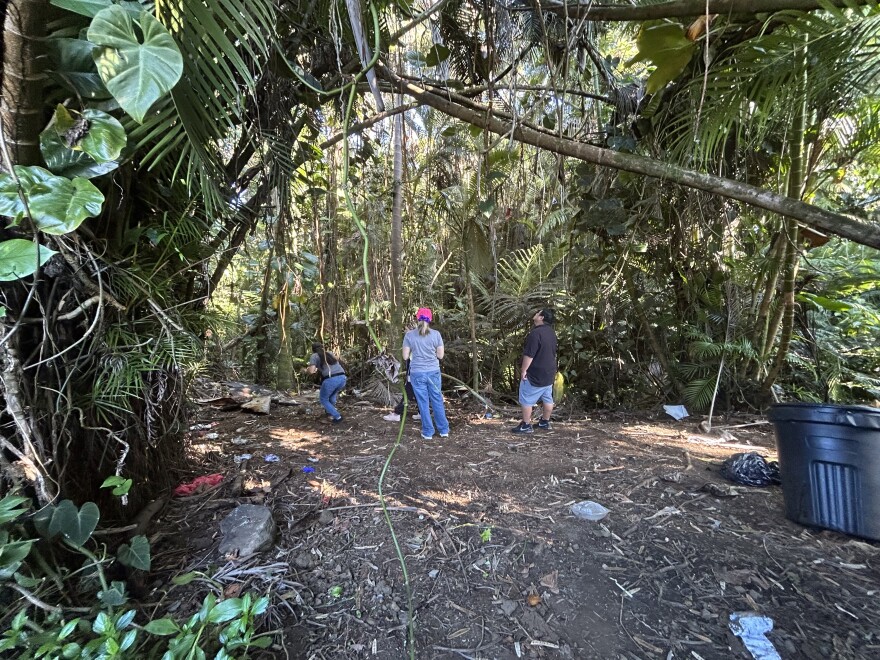 Volunteers on Hawaiʻi Island said they were committed to reaching off grid areas to ensure the count was accurate.