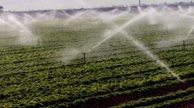 Sprinklers water a lettuce field in Holtville, California, on February 9, 2023. (Sandy Huffaker/AFP via Getty Images)
