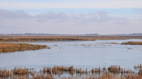 J. Clark Salyer National Wildlife Refuge