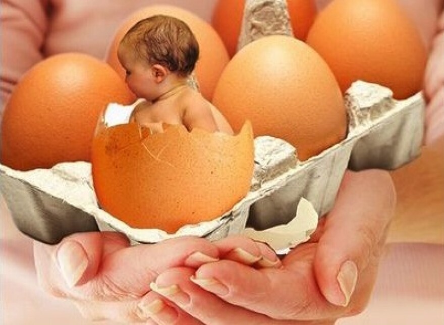 "Grade A Baby Eggs" is a personal account of infertility, IVF and egg donation.