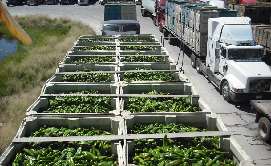 This 2021 image provided by U.S. Customs and Border Protection shows a truckload of green chiles waiting to be inspected at the port of entry at Columbus, N.M. Border authorities said Monday, Sept. 12, 2022, that they are assigning more agricultural specialists to the port to handle the increase in chile imports. (US Customs and Border Protection via AP)