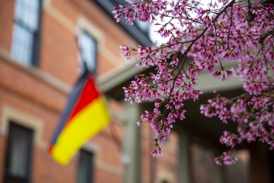 Flowers bloom around Columbus on March 31, 2020.