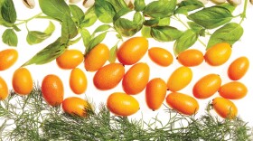 Styling by Joy Wiedner of Sauce Magazine. 