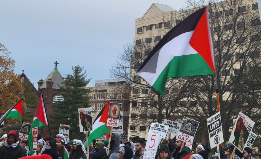 Pro Palestine Rally in Lansing