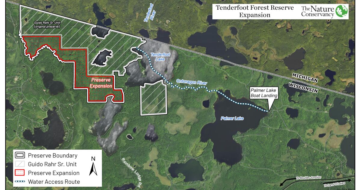 Nature Conservancy adds 500 acres to an old growth forest preserve in the Land O' Lakes area