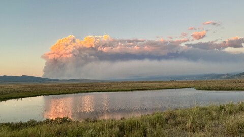 A fire plume with a grassy meadow and pond in front. 
