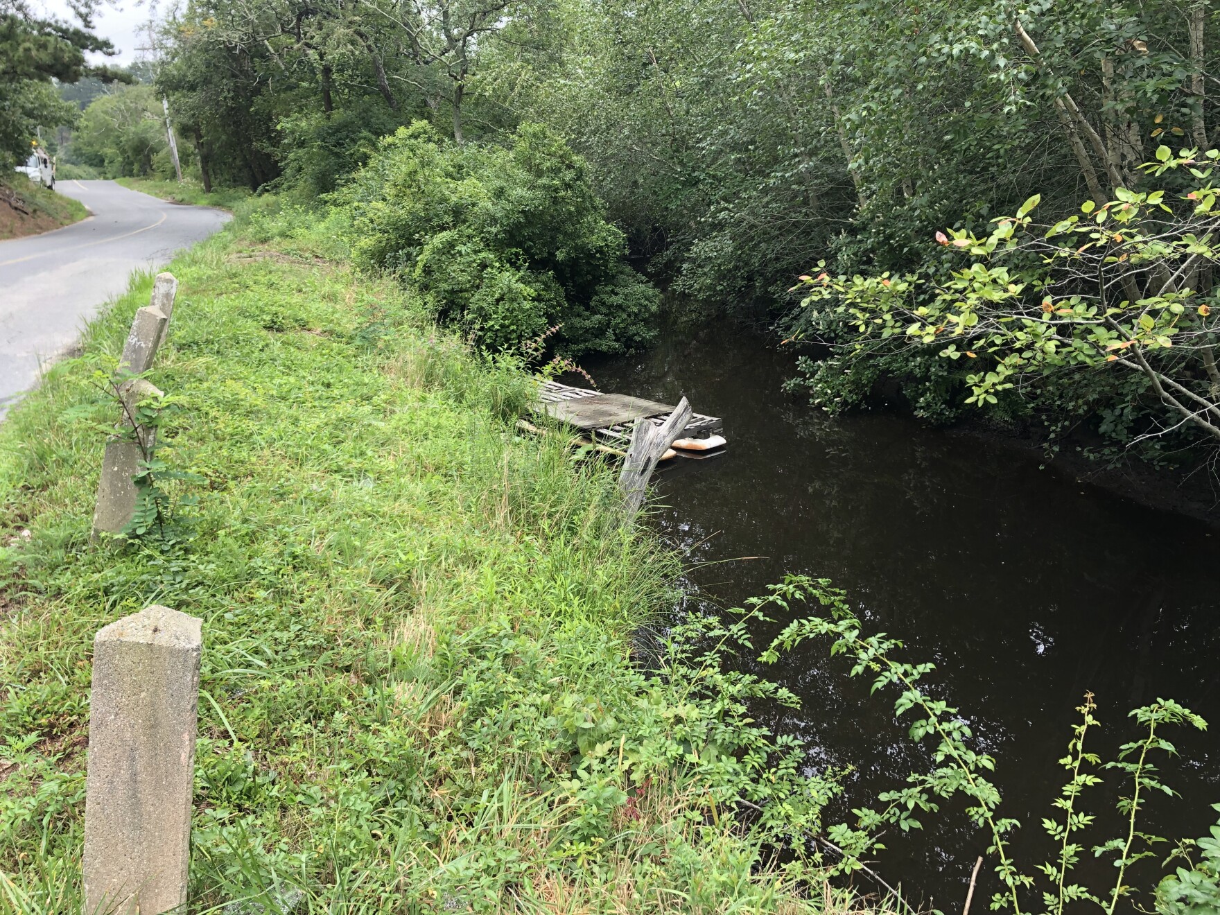 Remembering Wellfleet’s Historic Herring Run CAI