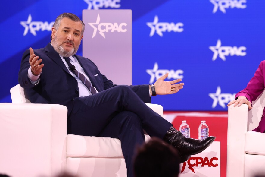 Cruz’s study searched for keywords related to diversity, equity and inclusion in more than 30,000 federal grants.