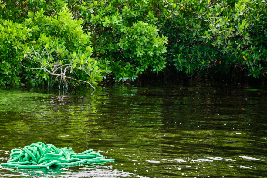 A finger-like configuration of AquaFlex's open-cell foam floats in a canal just off the Caloosahatchee River in Fort Myers.