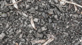 Biochar is made by exposing plants or agricultural waste to extremely high temperatures.