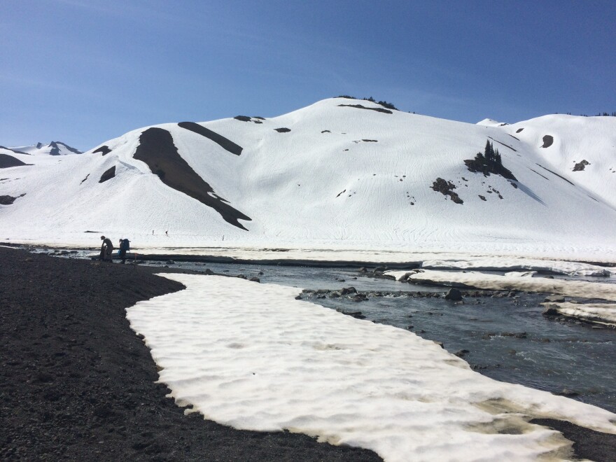 The view, from about 6,000 ft., near Black Tusk in Garibaldi Provincial Park, British Columbia, on June 6.