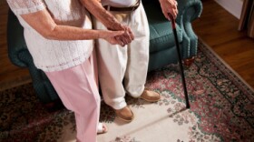 The nation's largest provider of nonmedical home care for seniors is now offering training to help family caregivers deal with the challenges of caring for an Alzheimer's patient.