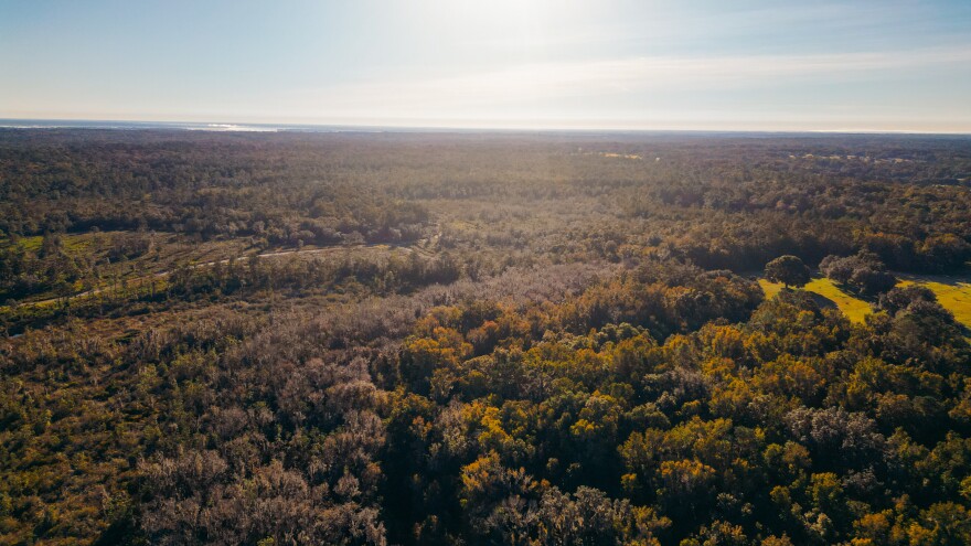 Price’s Scrub State Park in Marion County is now more than 1,000 acres in size, following a recent land acquisition.