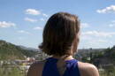 The Survivor AZILL