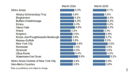 A screen shot of the bar chart from https://dol.ny.gov/system/files/documents/2025/04/press-release-2-march-2025.pdf