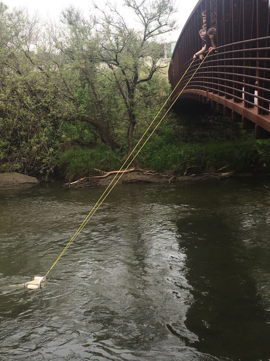 Rochman's scientific team drops a net into a stream in Toronto to collect tiny floating pieces of plastic.