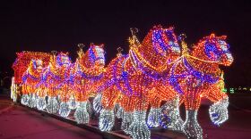 Lighted Horse Display at the Festival of Lights in East Peoria