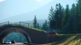 An example of animal bridge on the Flathead Indian Reservation in Montana. Washington is building wildlife overpasses over I-90 near Snoqualmie Pass.
