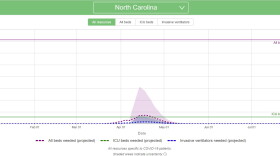 Institute for Health Metrics and Evaluation model
