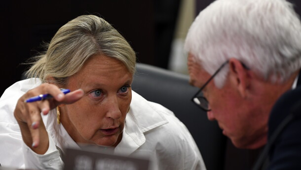 Senate Majority Caucus Chair Julie Raque Adams, a Louisville Republican, confers with Sen. Stephen Meredith about the implementation of Senate Bill 151 during an Interim Joint Committee on Families and Children meeting.