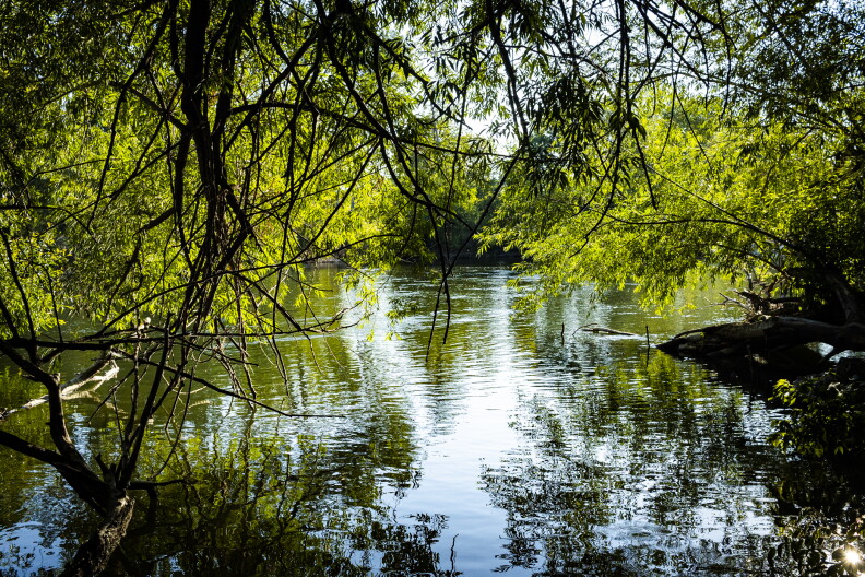  The Boise River while the sun is shining. There are trees lining the sides of the river and you can see more trees in the background. 