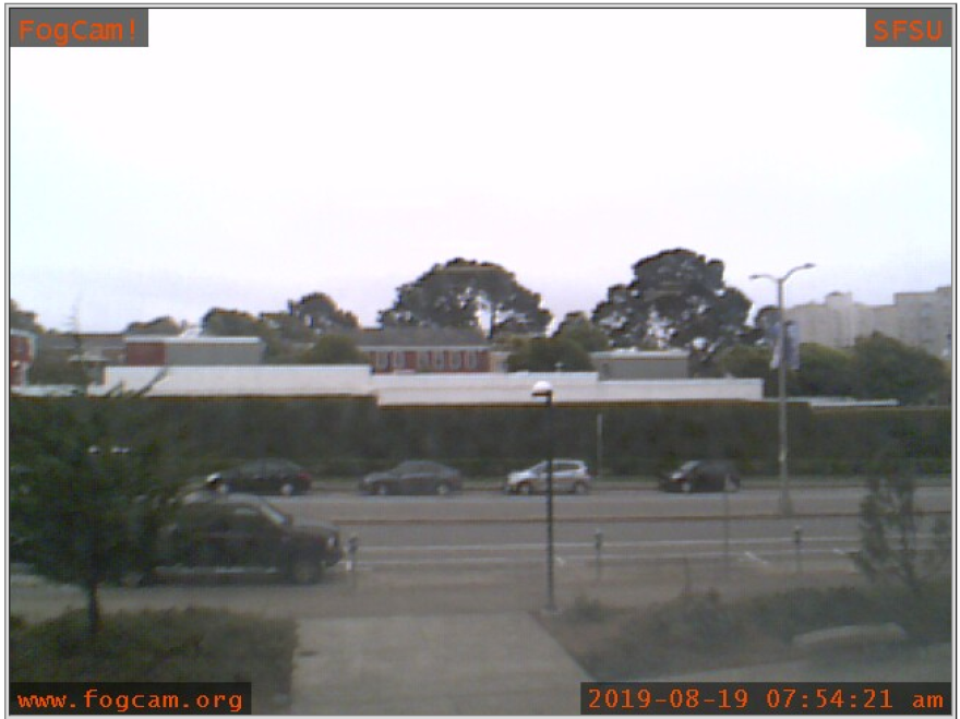 The FogCam's view of Holloway Avenue at San Francisco State University, seen at the time of writing. Come September, the cam's creators say, they'll be sunsetting these landmark glimpses of the mundane.