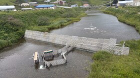 Iliuliuk Creek weir July 2026