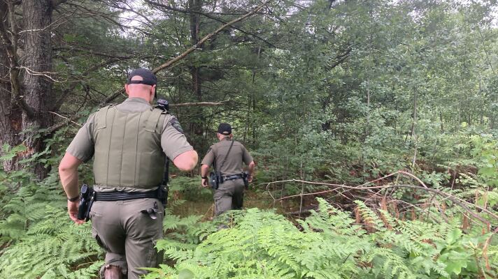 Conservation officers with the Michigan Department of Natural Resources trek through a state forest in Benzie County on June 26, 2023 in search of evidence of illegal bear baiting activity. 