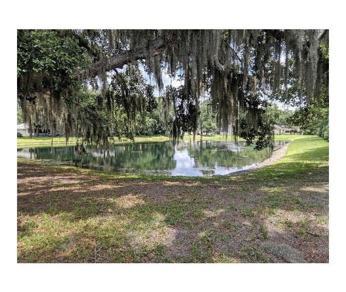 Florida scientists will study how homeowners affect the water quality of stormwater ponds - Vimarsana News