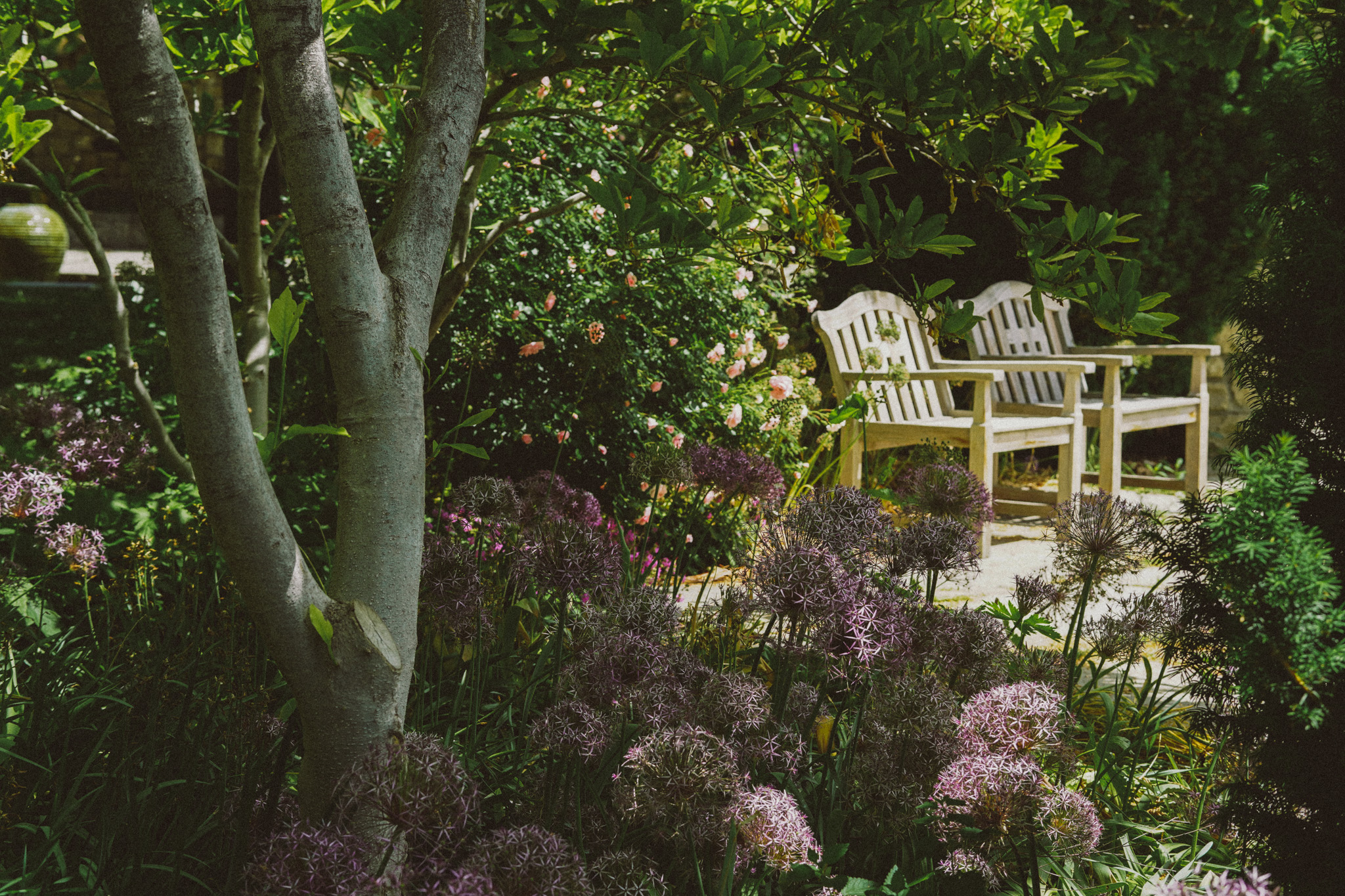 Two wooden chairs surrounded by greenery and flowers