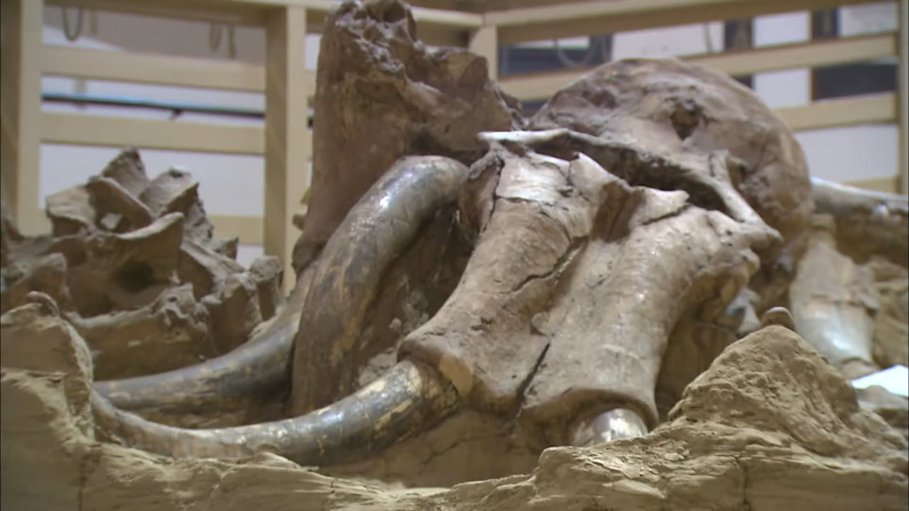 History of the Mammoth Site of Hot Springs, South Dakota | Dakota