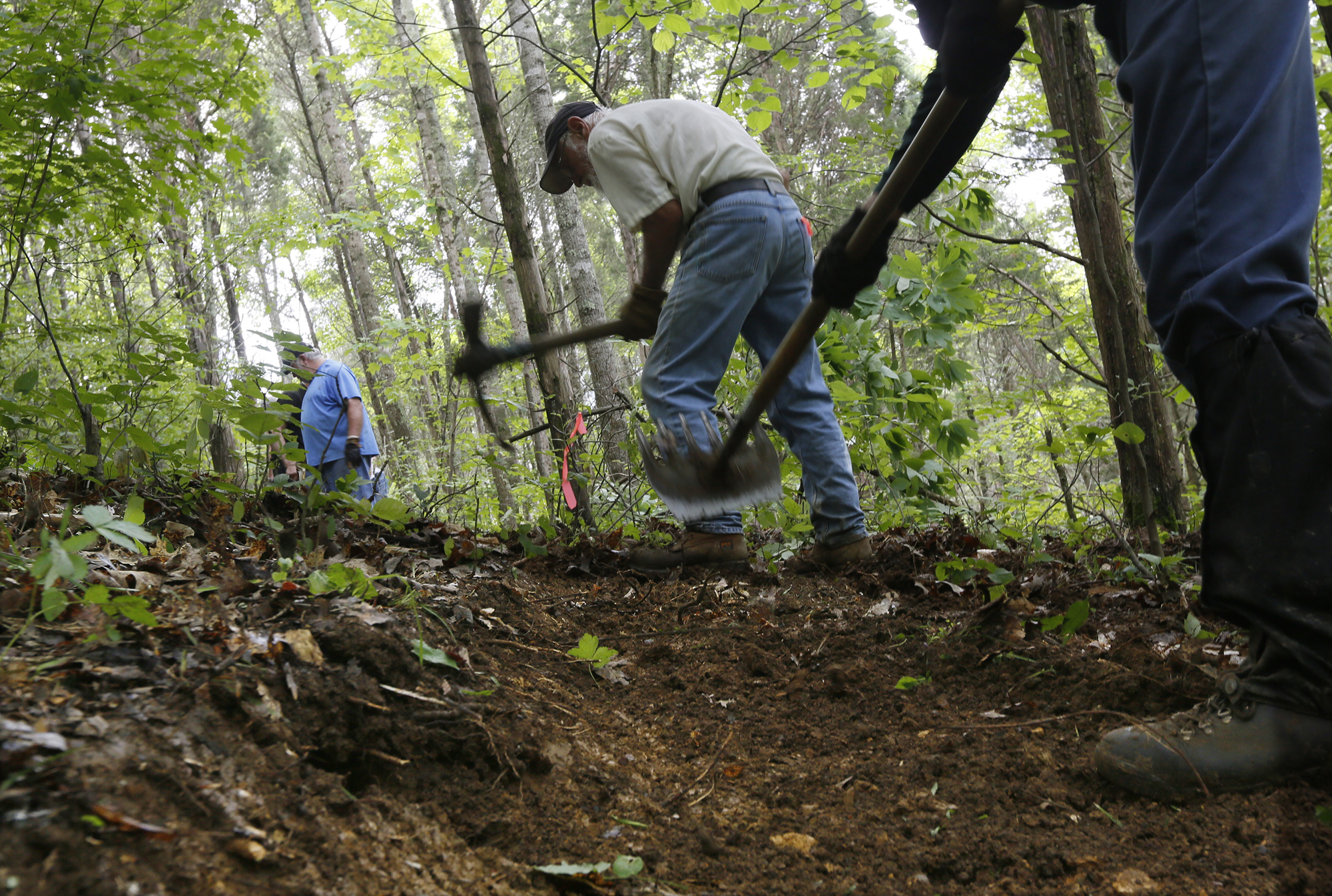Lawmakers push for National Scenic Trail designation for Buckeye Trail - Vimarsana News