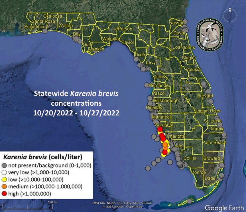 Red tide blooms have been detected along Charlotte and Lee counties - Vimarsana News
