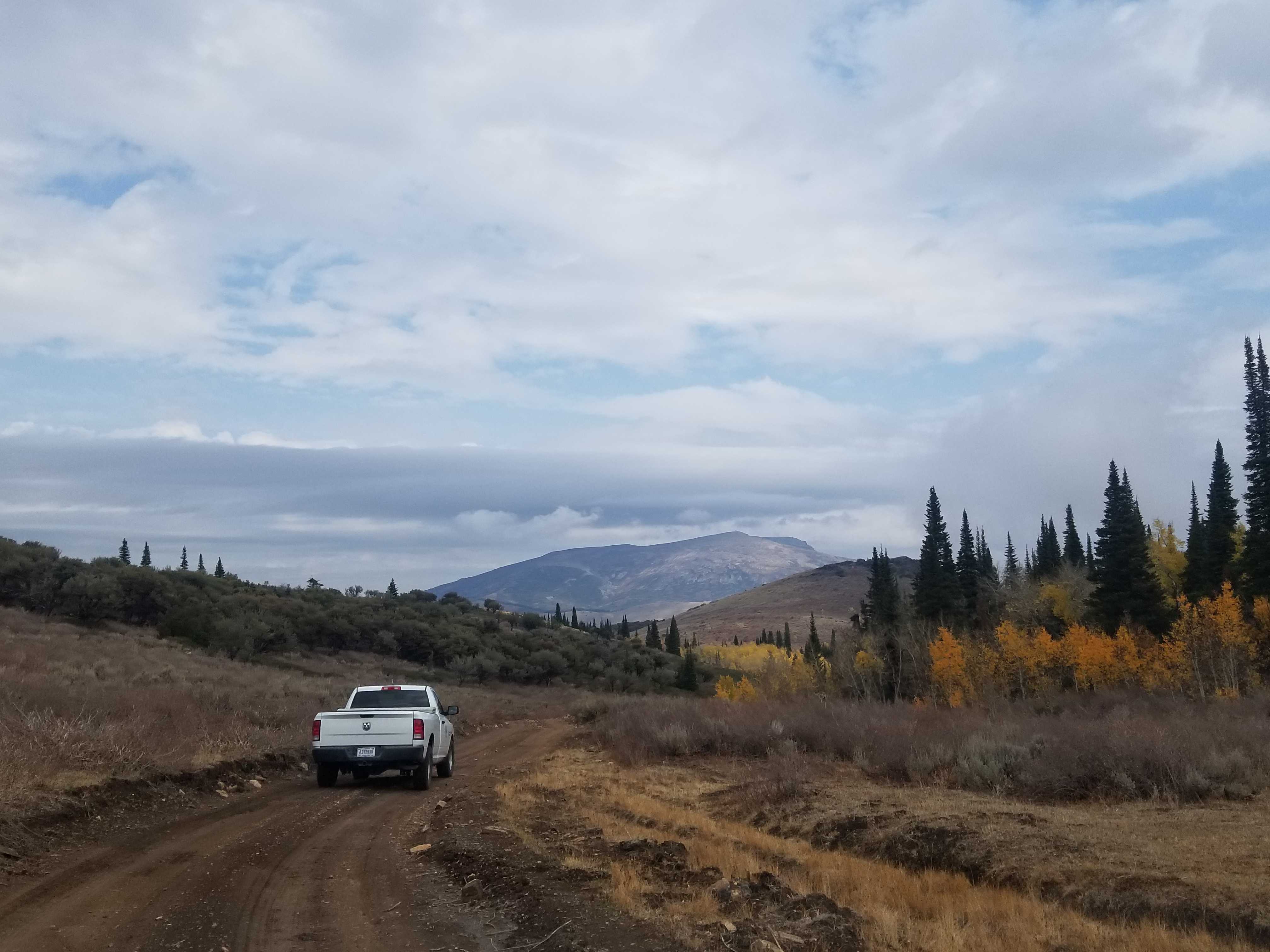 A prescribed burn in Idaho shows why good fire requires good neighbors - Vimarsana News