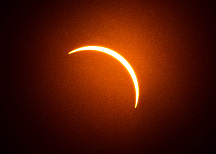 Photos: Thousands pack the ISU Quad to watch the solar eclipse | WGLT