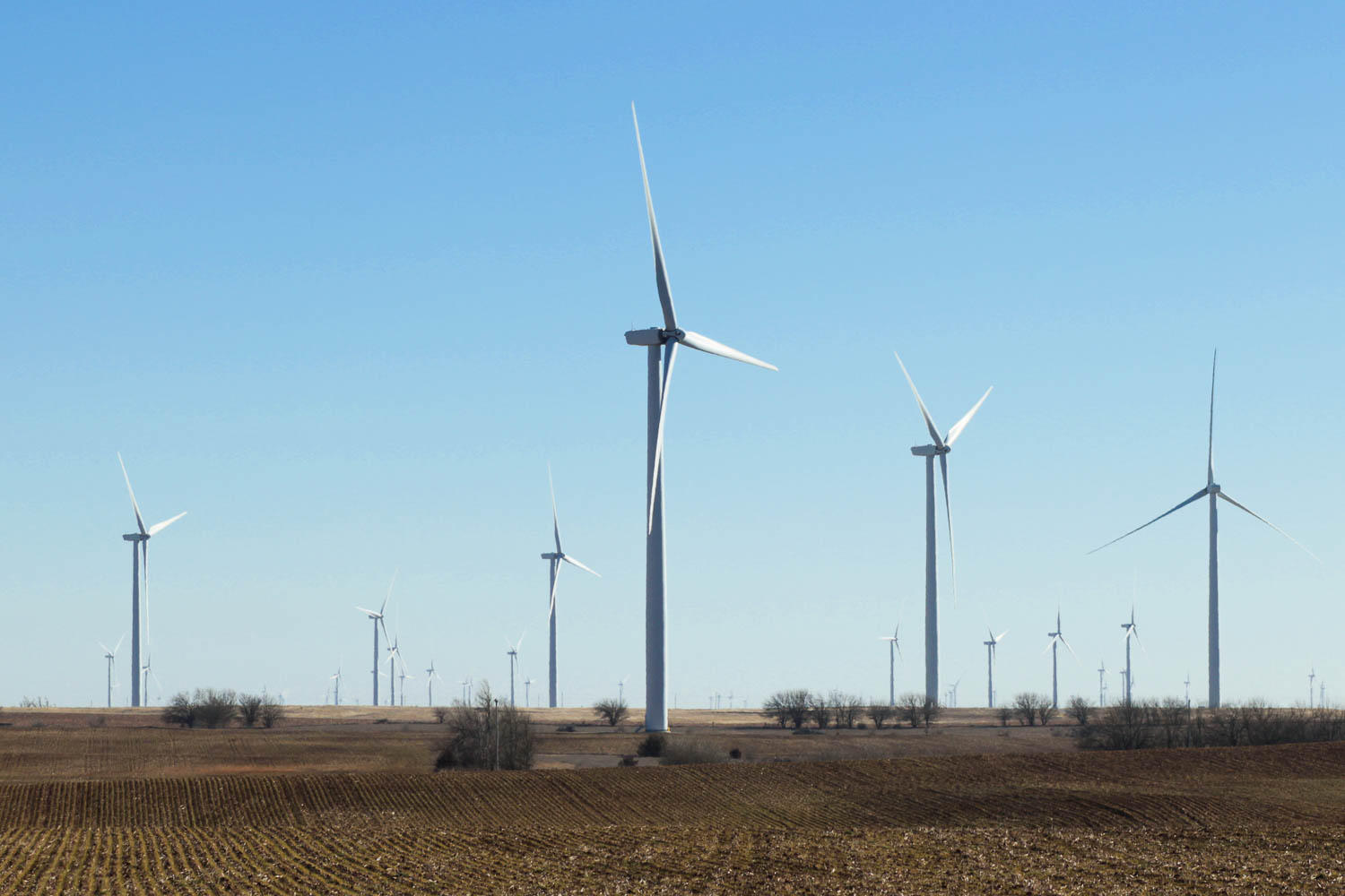Kansas senator invites 'fringe of the fringe' to push anti-wind energy bills - Vimarsana News