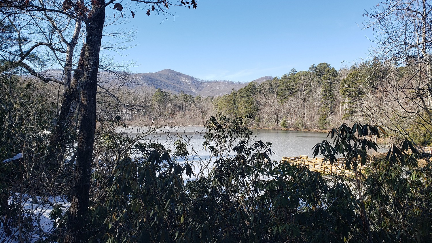 The Nantahala-Pisgah Forest Plan received about 800 eligible objections, here's what happens now - Vimarsana News