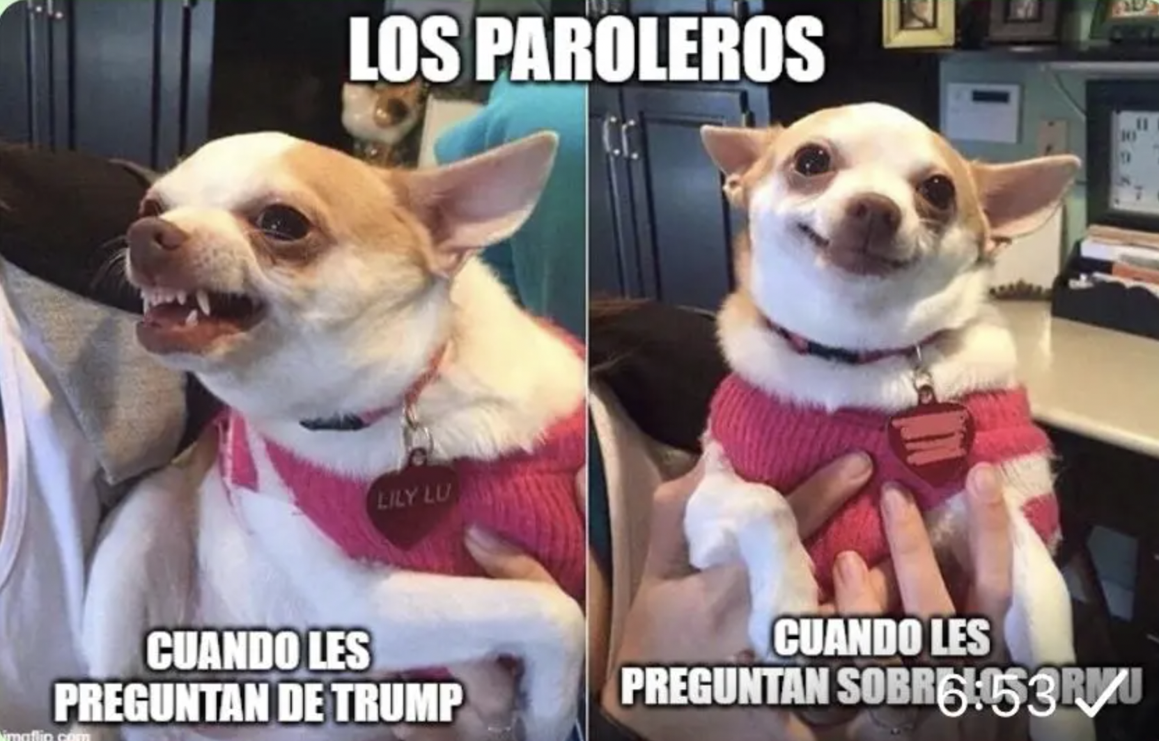 A pro-Trump meme seeks to spread a lie about Nicaraguan immigrants | WLRN, image size:1664x1064