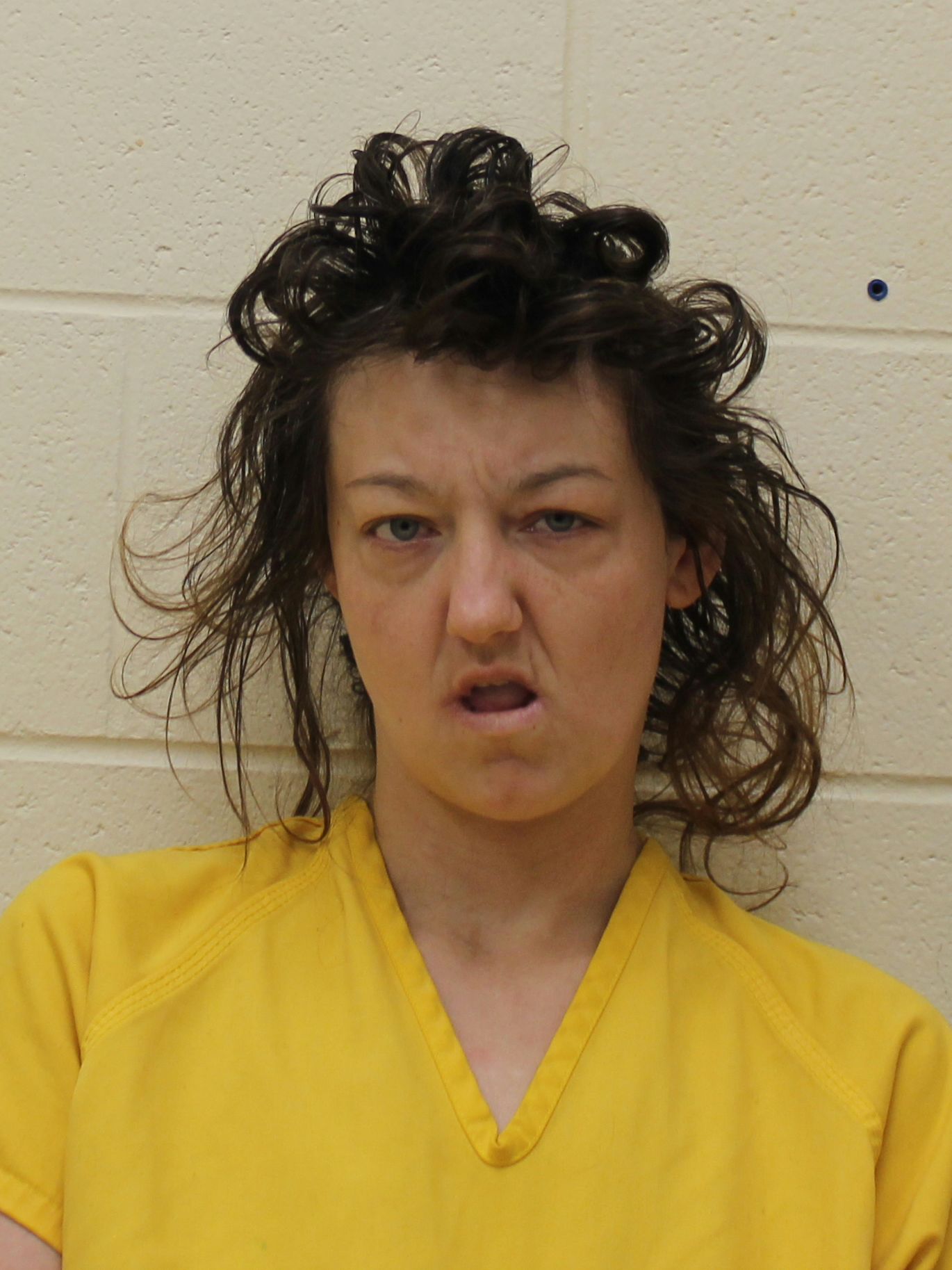 琥珀の牢/ Amber Prison, アーティストプルーフ AP An inmate punches an officer in the Franklin County jail | WSIU