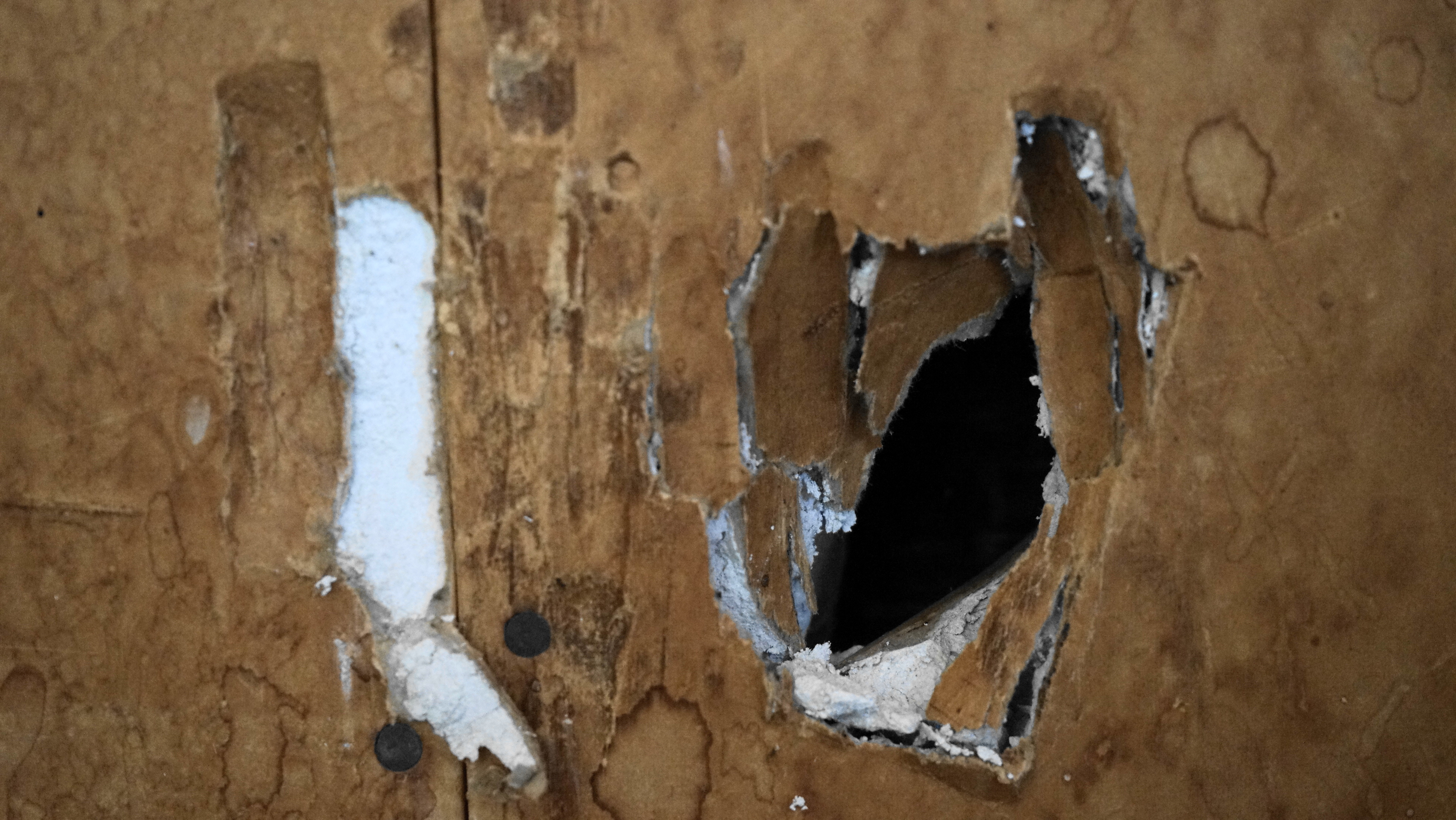 With Spring cleaning comes hantavirus risk | Wyoming Public Media
