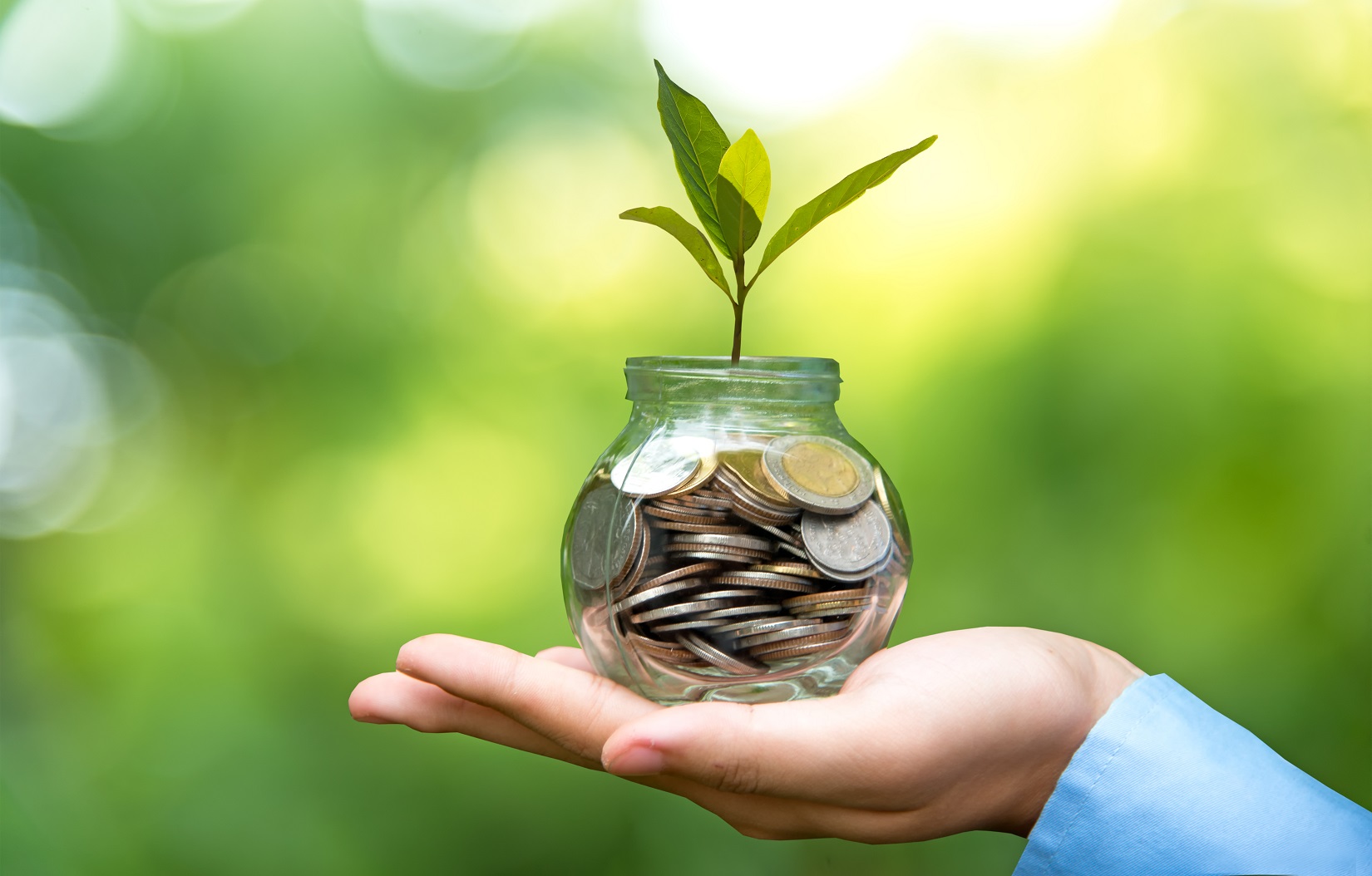Florida schools ponder how a half-credit financial literacy course will fit into their schedule - Vimarsana News