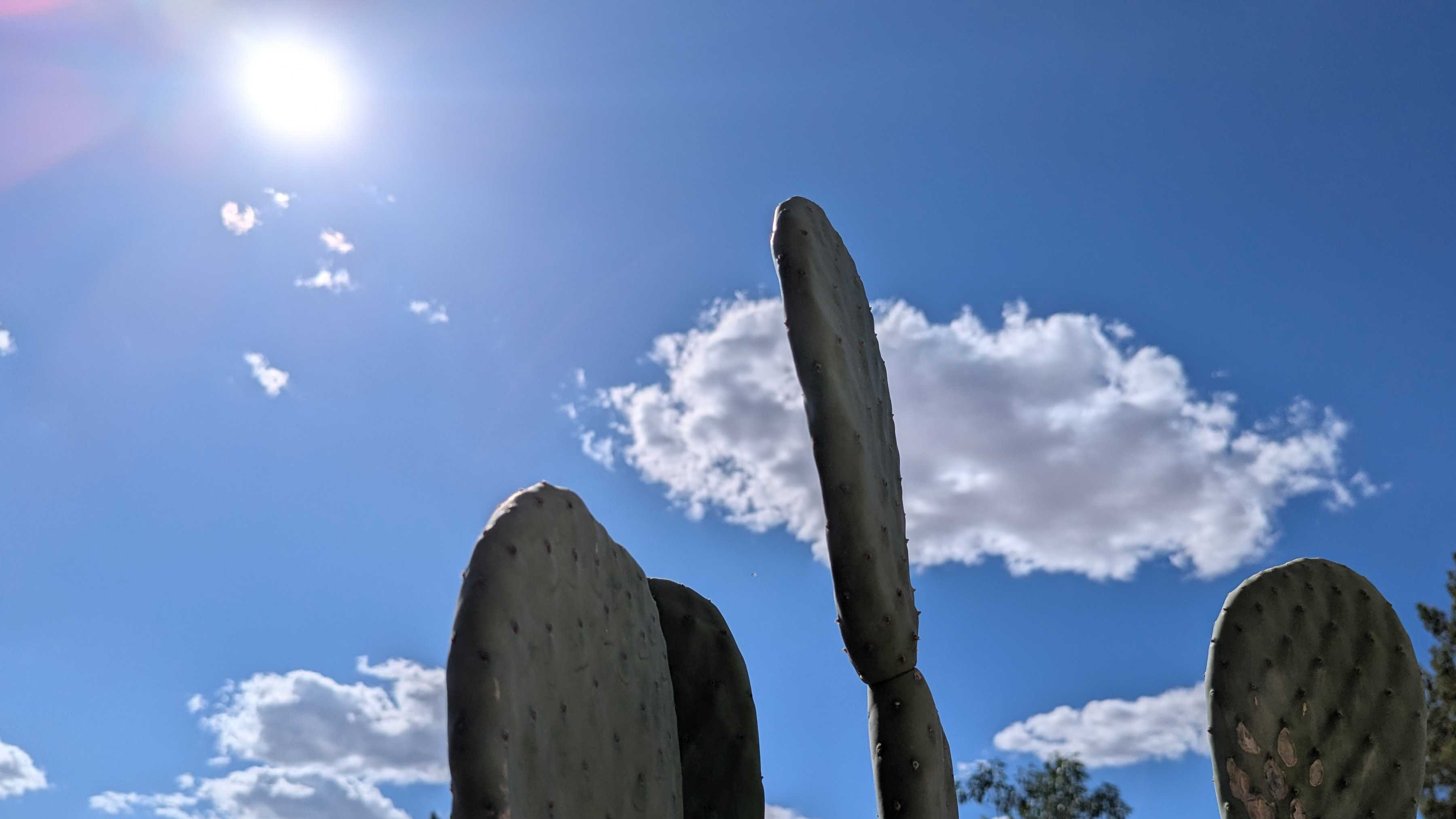 Is the Arizona heat causing more drug overdose deaths? Expert says