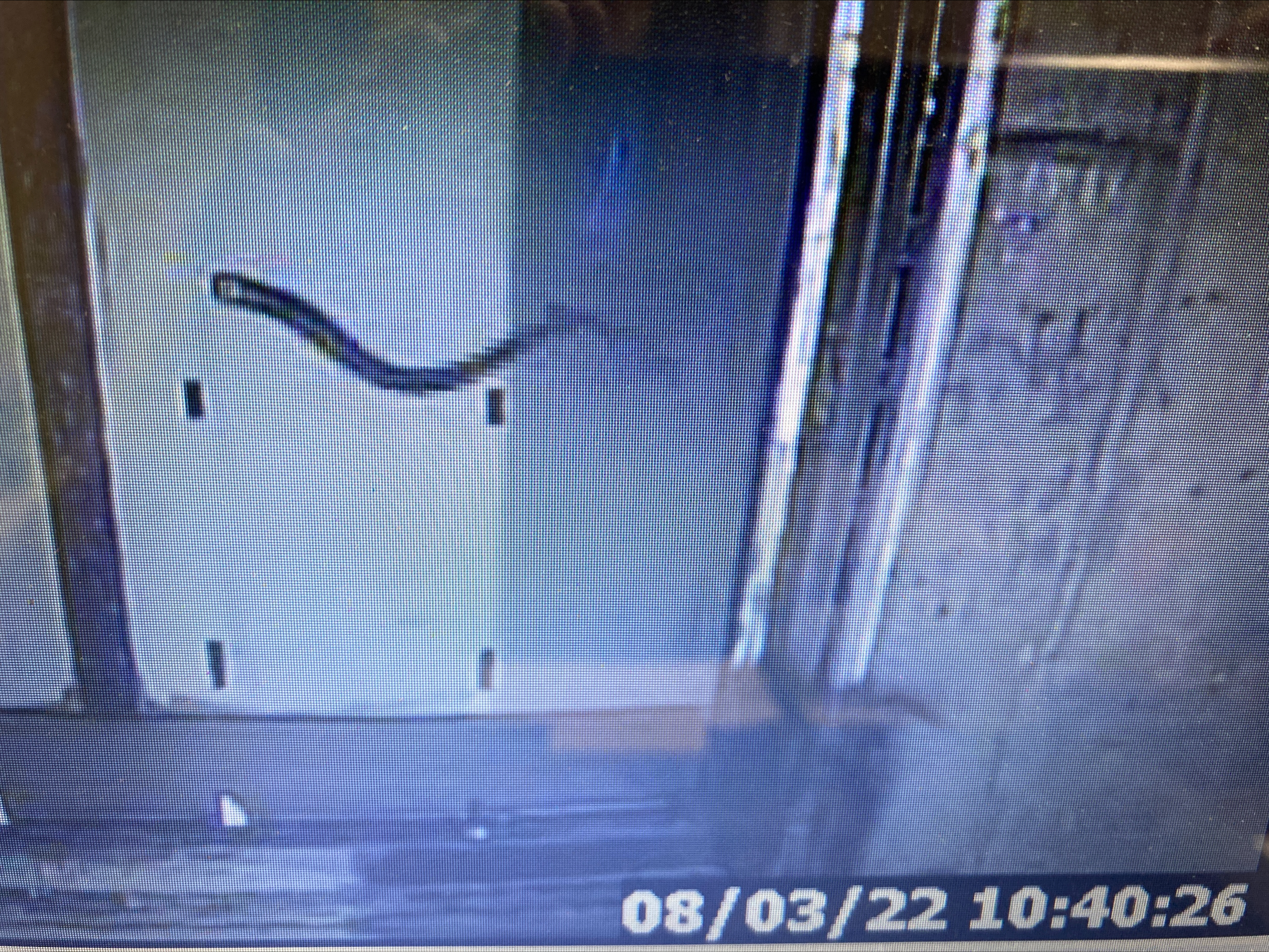 Lamprey swim past Oregon dam, after 10 years of waiting - Vimarsana News