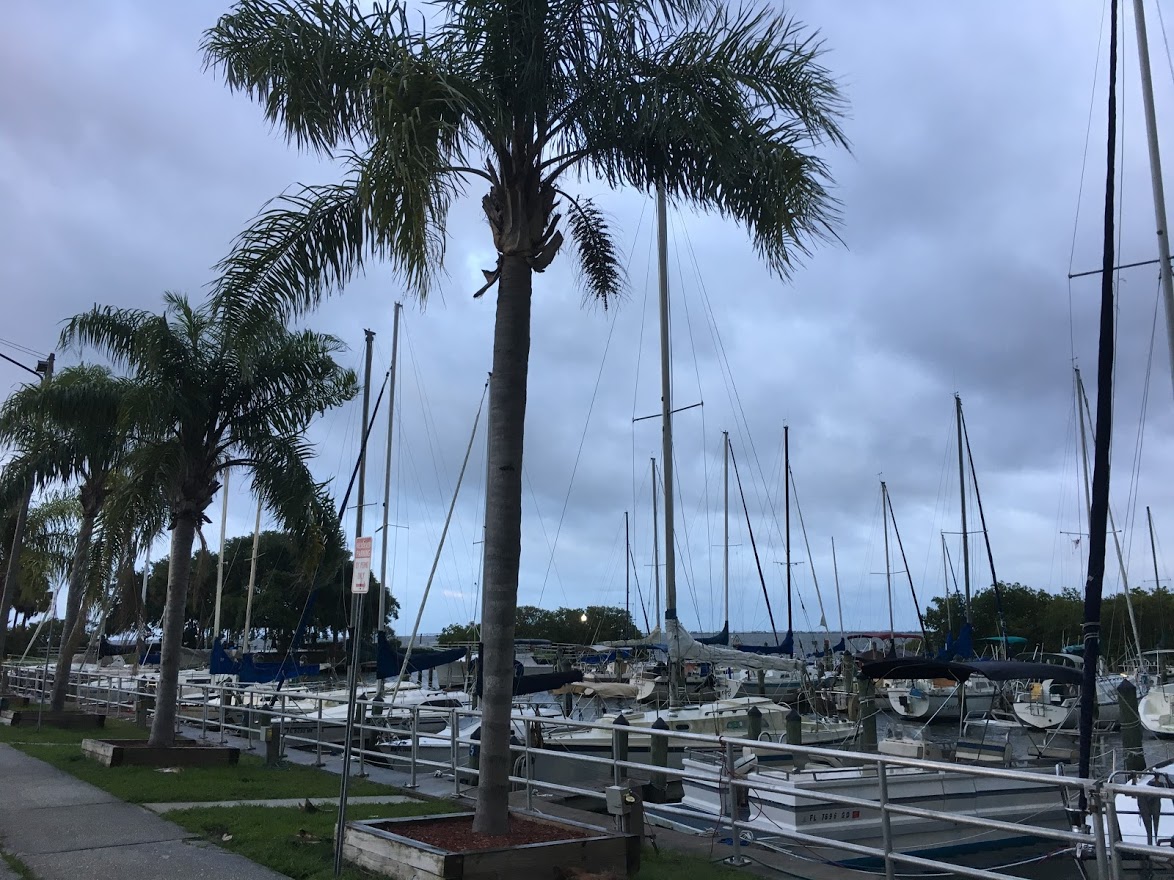 Florida Records Most Boating Deaths, Accidents Since 2011 - Vimarsana News