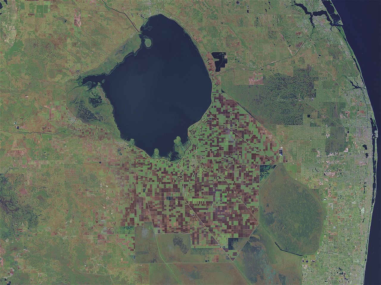 Lake Okeechobee water levels have 'peaked' after Ian, Nicole - Vimarsana News